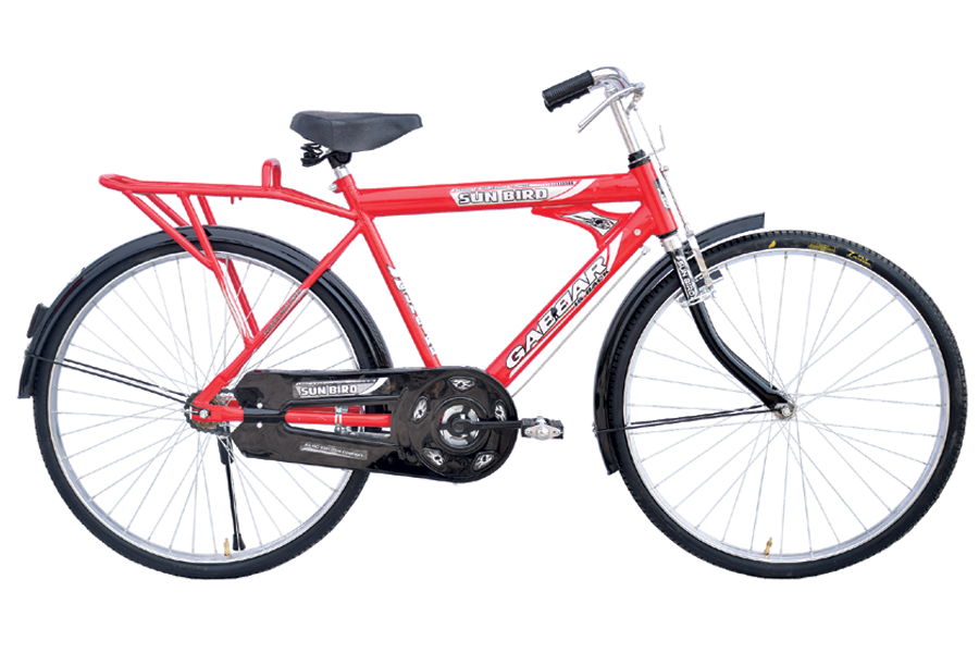 Neelam sunbird cycle price sale