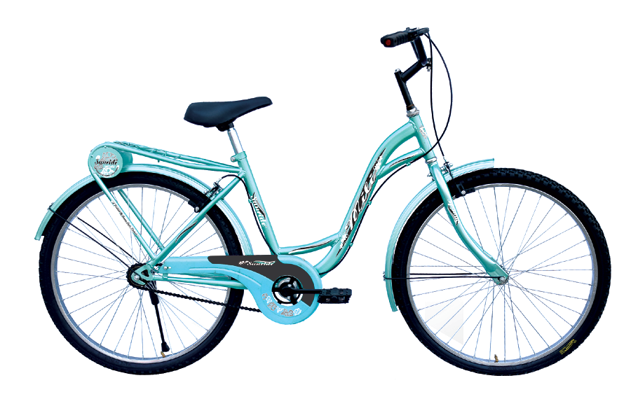 neelam cycle 22 inch